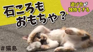 【猫島】子猫の遊び方がかわいい！しまねこの日常｜愛知・日間賀島「しまねこうらら」#23