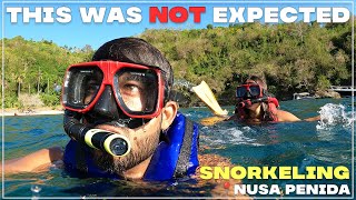 Snorkeling in Nusa Penida Bali | Kelingking Beach | @NarendraRaj