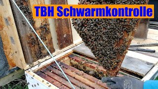 Schwarmkontrolle bei den Bienen in den Top Bar Hives...🐝🐝