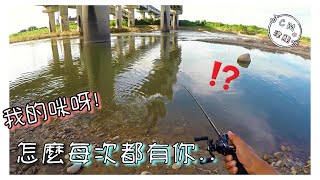 【釣魚津觸咪】 打龜..是有原因的..#V特 #中部釣魚 #路亞