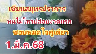 เซียนสมุทรปราการ#ทนไม่ไหวปล่อยงวดแรก#เทใจให้คู่เดียว#1.มี.ค.68