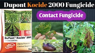 Dupont Kocide 2000 fungicide | copper hydroxide 53.8% | contact Fungicide