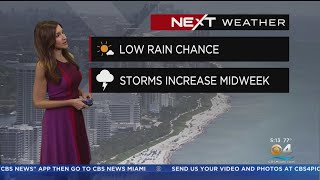 Miami Weather 10/3/2022 5AM
