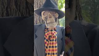 Skeleton Dude #halloween #halloween2023 #skeleton #halloweendiy #halloweenprops #diy #crafts #spooky