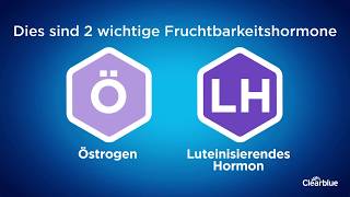 Clearblue – Hormone und der Menstruationszyklus