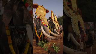 ഞാൻ ഇതൊന്നു അകത്താക്കട്ടെ പ്ലീസ്  #shorts #viral #elephant