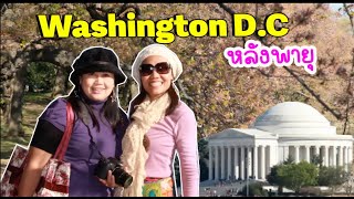 หลังพายุดอกซากุระบานเหลือไหม วอชิงตันดีซีแล้ว  Washington D.C 🤠ป้าโอ้ท