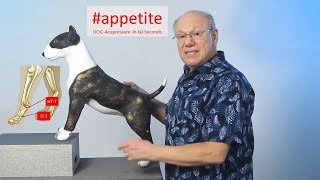 #appetite - DOG Acupressure in 60 Seconds