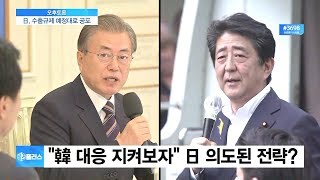 [비즈플러스 다시보기]  日, 韓 화이트리스트 배제 시행령 공포…정부 대응 전략은?