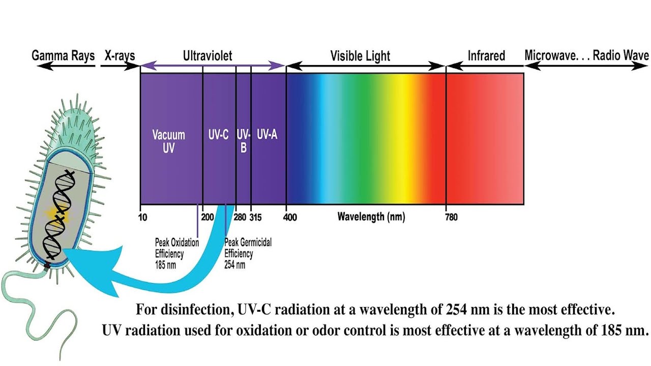 Understanding Ultraviolet UV Radiation And Its Effects - YouTube