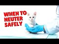 When To Neuter Male Cats | Two Crazy Cat Ladies #cats #spayandneuter #cat