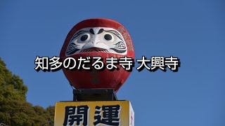 【一華総観】【愛知県知多市】知多のだるま寺 大興寺