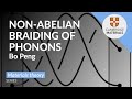 Non-Abelian braiding of phonons in layered silicates