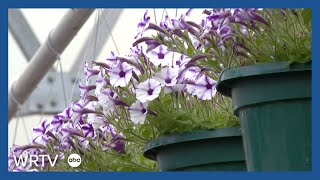 Spring gardening tips from experts at IU Bloomington
