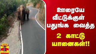 ஊரையே வீட்டுக்குள் பதுங்க வைத்த 2 காட்டு யானைகள்!!