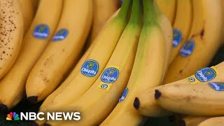 Chiquita found liable for funding paramilitary group during Colombia civil war