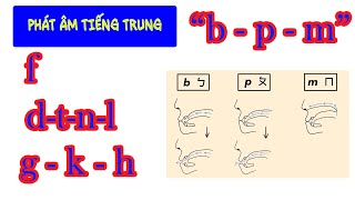 HỌC PHÁT ÂM TIẾNG TRUNG | Thanh mẫu dễ học 