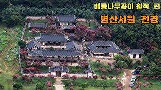 [4k] 배롱나무꽃이 활짝 핀  병산서원, 체화정, 파산정을 다녀왔습니다