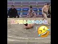 お相撲さんがグールグル 相撲 sumo おもしろ