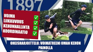 Koko vartalon voimatreeni oman kehon painolla | 8 liikettä