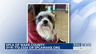 Pet of the Day: Feb. 21, 2025