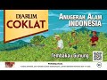 Djarum Coklat Kretek - Special Edition Pack [4 Versi Kompilasi 15s] (2023)