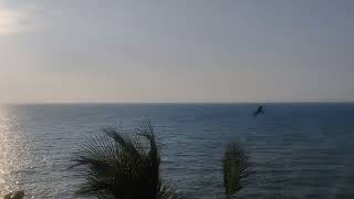 Varkala Clafouti Beach Resort #Best Resort in Varkala #Beauty of Varkala #Goa of South India #Sea