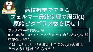 高校数学でできるフェルマー最終定理の周辺(1): 原始ピタゴラス数を探せ！