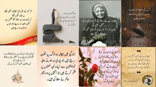 Amazing Collection of Urdu Quotes | Quotes Urdu Status | Islamic Quotes Collection | Wisdom Quotes