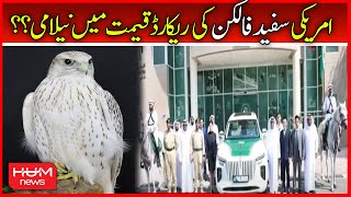 American White Falcon Ki Record Qeemat mai Neelami?? | White Falcon | Abudhabi | Bird | Hum News