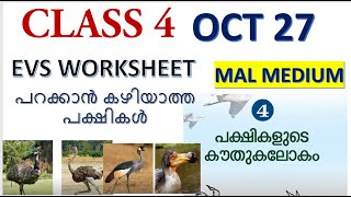 CLASS 4 EVS WORKSHEET/ 27 October 2021/CHAPTER 4 /പറക്കാൻ കഴിയാത്ത പക്ഷികൾ /കൂടുകൾ /EDUTEACHERKERALA