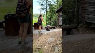 Walking in the forest spotting a cute hut #walking #hut #forest #nature #adventure #forestadventures