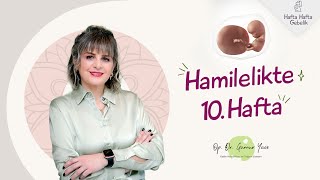 Gebelikte 10. Hafta | Op. Dr. Günnur Yüce | Hafta Hafta Gebelik