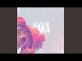 Blacko SA, Mellow & Sleazy & Carter - Saka (Official Audio) feat. Novatron, Shuga & Scotts Maphuma