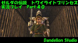 【ゼルダの伝説　トワイライトプリンセス　実況プレイ　Part.40】　のんびり気ままにまったりプレイ！　【ＥＴ・ナベ】