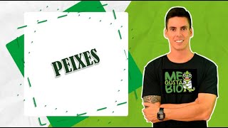 PEIXES - PROFESSOR GUSTAVO