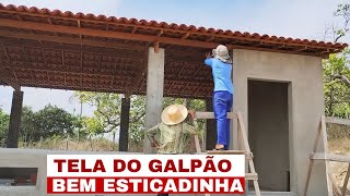 COMO COLOCAR A TELA NO GALPÃO PARA GALINHAS.