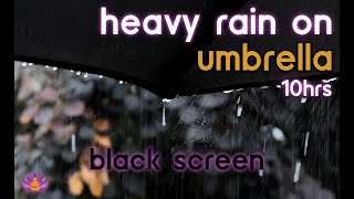 [Black Screen] Heavy Rain on Umbrella | Rain Ambience No Thunder | Rain Sounds for Sleeping