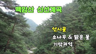 백암산 신선계곡 / 해발1,004m, 계곡의 맑은 물, 기암괴석, 소나무