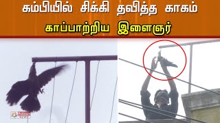 கம்பியில் சிக்கி தவித்த காகத்தை காப்பாற்றிய இளைஞர்