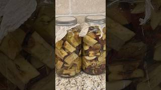 DIY Apple Cider Vinegar out of apple scraps!!!🍎🤯     #fall #apples #applecidervinegar #homestead