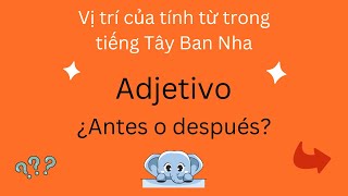 Bài 16 - Vị trí của tính từ trong tiếng Tây Ban Nha | Tự học tiếng Tây Ban Nha