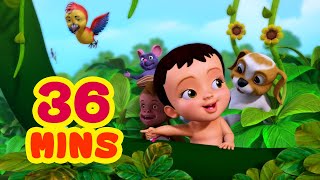Download Top 25 Bengali Rhymes for Children Collection | Infobells mp3