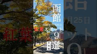 【後編】函館の紅葉状況をお伝えします。2023年10月25日現在 #函館 #hakodate #紅葉 #autumnleaves