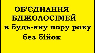 Як легко об'єднати бджолосім'ї без бійки в будь-яку пору року