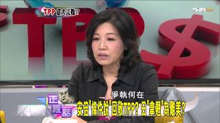 麗文正經話_20140506_221-1(TVBS DMDD)