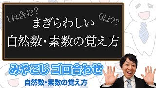 (数学検定1級合格者が解説)自然数・素数の覚え方～一瞬で覚える語呂合わせ～【公式を覚えよう!!】－数検