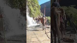 Beautiful Scenery || Kedarnath trek #shorts #kedarnath #trekking #uttarakhand #missgypsy