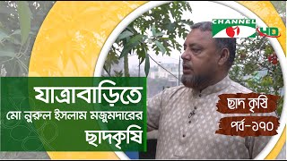 যাত্রাবাড়ীতে মো নুরুল ইসলাম মজুমদারের ছাদকৃষি | পর্ব ১৭০| Rooftop Farming | Shykh Seraj | Channel i