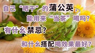 自己“晒乾”的蒲公英，能用來“當茶”喝嗎？有什麼禁忌？和什麼搭配喝效果最好？